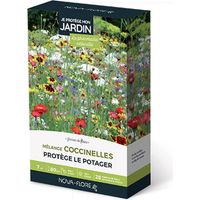 Prairies fleuries : j'attire les coccinelles 7 m2