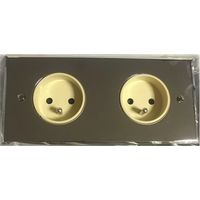 Arnould 272H31I31I09 - Double 2P+E complete socket - Mirror steel finish