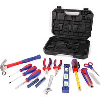 WORKPRO WP209023 - Riparazione/manutenzione de utensili de set de 32 pz.