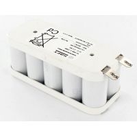 Batterie Ni-Cd 12V 2.5Ah 10VnTCu (802189)
