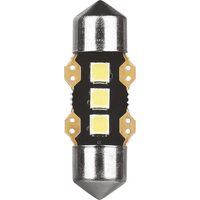 12V Ultra-Lumen Series - 11,3x31 mm - SV8,5-8 - 1 pz - Scatola - Bianco - Doppia polarità