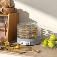 Essiccatore per alimenti a 5 livelli, 245 W con controllo della temperatura regolabile, grigio