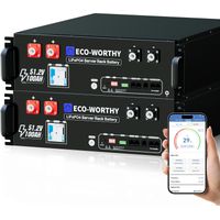 Eco-Worthy – Batterie lithium 48V 100Ah LiFePO4 avec Bluetooth – Système de gestion BMS 100A – Compatible onduleurs hybrides – 163840Wh stockage