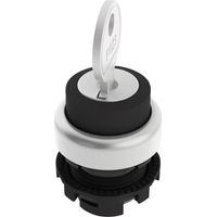 COMMUTATEUR À CLÉ PIZZATO ELETTRICA E21SC2DVA19AA NOIR 1 X 90 ° 1 PC(S)