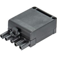Wieland Electric 93.732.4553.0 Steckergehäuse Schwarz 1 St.