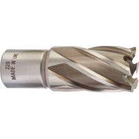 Milwaukee HSS-Fräser 22 mm mit Weldon-Schaft 19 mm