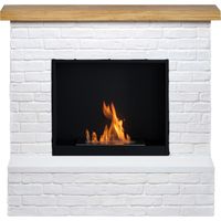 TAGU Cheminée bioéthanol - FreeFlame ROLF - flamme réelle sans conduit - blanche