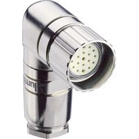 Lumberg Automation 2207 Sensor-/Aktor-Steckverbinder, unkonfektioniert M23 Kupplung, gewinkelt Polz