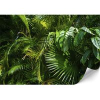 Standard-Vliestapete – 100 x 70 cm – Dschungelmotiv – Natur Premium-Vliestapete – 500 x 350 cm – Dschungelmotiv – Natur