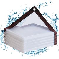 1 Stück (2 x 4 m) transparente PE-Plane wasserdicht mit Ösen für Balkone, Windschutze, Gartenmöbel im Freien, Wintergärten