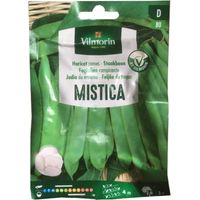 Vilmorin Mistical Berry ebrei semi - oltre 25 gr.