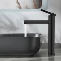 Mitigeur de lavabo pivotant 360 degrés noir en acier inoxydable, robinet salle de bains bec haut style moderne pour vasque