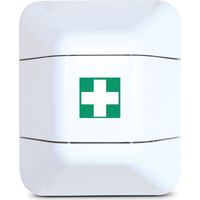 Armoire de Stockage pour Extincteur Défibrillateur ou Trousse de Secours L434xP225XH528mm EICHNER Blanc - 9127-01113