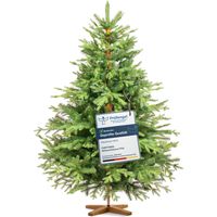 Sapin artificiel 150 cm vert foncé – Forme en cloche – Rameaux en PE pour réalisme – Pied en bois massif – Fabriqué en Europe – Fairytrees