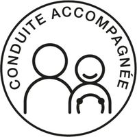 Disque Electrostatique Conduite Accompagnee