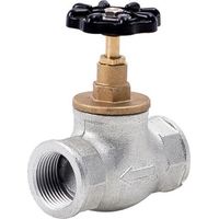 Perfexim 5901880015205 Valvola di arresto standard in ghisa scura