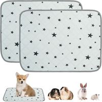 Lot de 2 tapis lavables pour cage de cochon d'Inde, 60 x 45 cm, réutilisables, absorbants, imperméables et antidérapants pour petit animal de compagnie, chiot, rat, chinchilla (gris A, 60 x 45 cm)