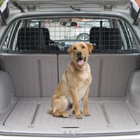 Barrière universelle pour chien en voiture, protection adaptée aux SUV et aux sièges auto, largeur ajustable sans outils, installation facile, noire