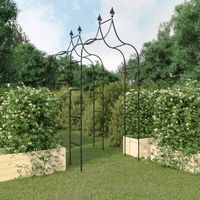 Arches de jardin, Arche pour rosiers,Arche de jardin Pergola 2 pcs Noir 120x38x260 cm Acier LKOWF79725