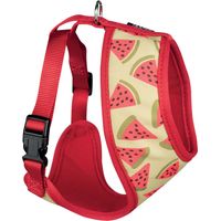 Harnais motif pastèques Coloris Rouge Taille : M