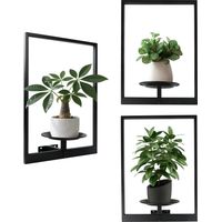 Cadre photo mural et support pour plantes, étagères suspendues pour fenêtre, présentoir pour salon, intérieur/extérieur, entrée