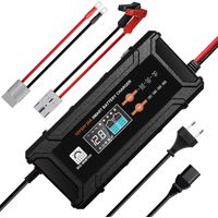ECO-WORTHY 20A 12V/10A 24V LiFePO4 Batterieladegerät, automatisches intelligentes Batterie ladegerät und Wartung für 12V/24V Lithium LiFePo4 Batterie