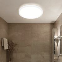 Deckenlampe Wohnzimmerstrahler Esstischleuchte Memoryfunktion IP44 LED 24W weiß opal, rund, 1x LED 24W 2300lm 3000K warmweiß, DxH 42x2,5 cm