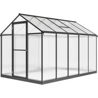 Serre jardin aluminium polycarbonate avec fenêtres réglables 303x183x195cm