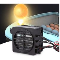 Chauffage d'air PTC 100W 12V – Thermostat automatique – Chauffe rapidement pour espaces confinés – Installation facile avec trous de montage