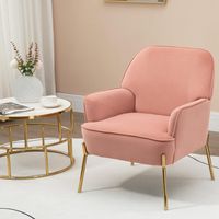 Fauteuil de Salon en Velours avec accoudoirs, Fauteuil rembourré Confortable pour Chambre et Salon - Gris