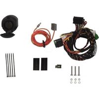 FAISCEAU SPECIFIQUE 13 BROCHES POUR BYD DOLPHIN (05/23-)