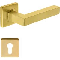 Coppia di maniglie KLOSE besser rosette Square NELLY in acciaio inox 304 PVD -ORO + 2 rose a cilindro