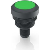 rafi 2050009899844 Indicador luminoso verde compacto