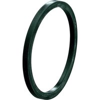 Vortex Anillo de sellado en bolsa (10 piezas) para carcasa de bomba BWO 155