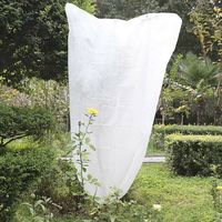 Hotte Protection Plantes Protection Hivernale Efficace - Biotop