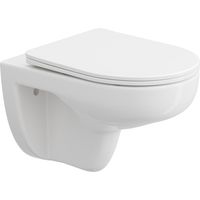 HOROW Inodoro suspendido sin brida, con asiento de cierre suave, Inodoro de cerámica para montaje en pared - 52,5 x 35,5 x 36,5 cm