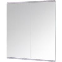 Yezi Home Gym Mirrors Wall Mounted Large Full Body Mirror 2 PCS 120cm x 60cm