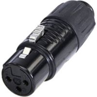 Rean AV RA3FT-B Adattatore XLR Spina Mini XLR - Presa Mini XLR Numero Poli (num):3 1 pz.