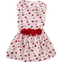 Robe rose XS pour chien, motif coccinelle et herbe, confortable et respirante, pour le printemps et l'été