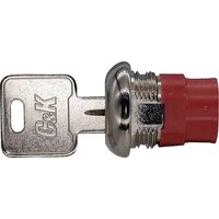 C & K Switches Y201132C201NQ Commutateur à clé 125 V 4 A 2 x On/On 2 x 90 ° 1 pc(s) S692452