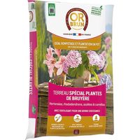 Terre Dite De Bruyère Uab 6 L / Nc - Or Brun