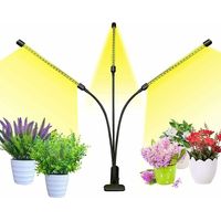 Lampe de croissance, lampe de croissance LED idéale pour la croissance des plantes-AquaForge