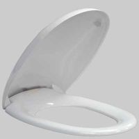 SEDILE 500 TERMOINDURENTE coprivaso copriwater POZZI GINORI