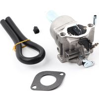Silberner Metallvergaser für 14,5–21 PS Motoren – Modelle 796109, 591731, 594593 mit Dichtung