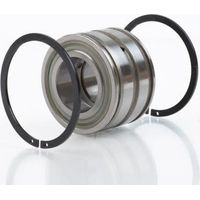 INA Zylinderrollenlager SL045004 Innen-Ø 20 mm Außen-Ø 42 mmBreite30 mm