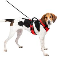 Pettorina modello Easy Sport per cani: L rosso