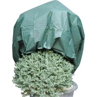 NOOR Wintervlies Winterschutz Vlieshaubefür Pflanzen, 1,6x5m, grün