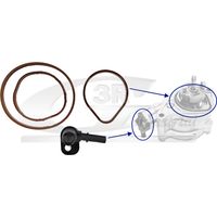 3RG 74801 KIT REPARACIÓN BOMBA VACÃÂO (4PCS)