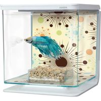 Kit d'aquarium 5 L bleu – Système EZ Care Plus pour changements d'eau rapides – Conçu pour bettas – Aquarium en plastique décoratif – Marina