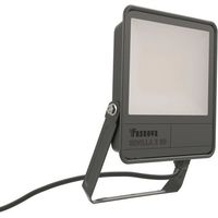 Fosnova Disano LED Floodlight 50W 6500K 5500 lúmenes Gris IP66 2241343300